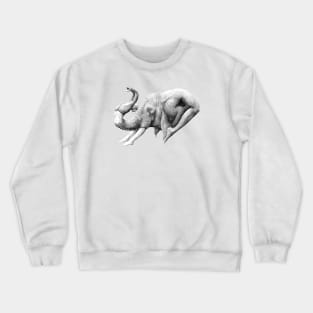 fant Crewneck Sweatshirt